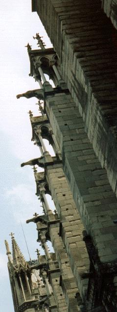 the view from below
